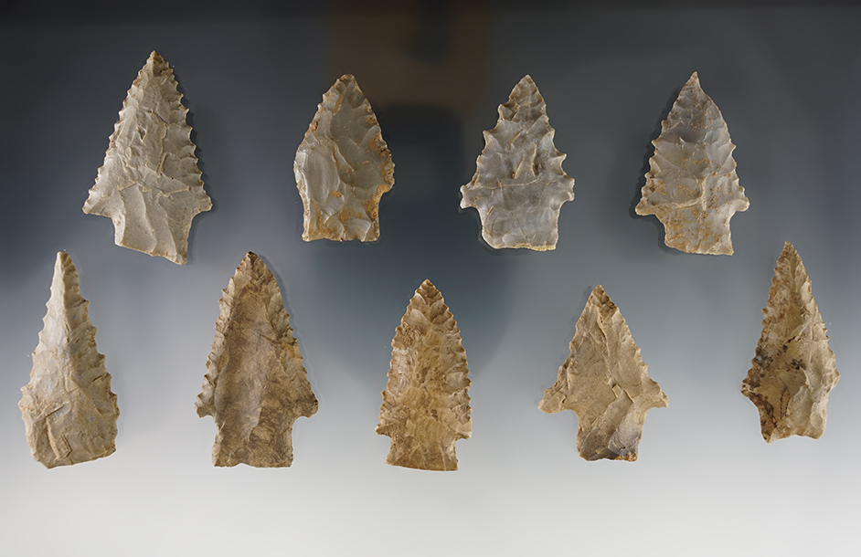 Set of 9 assorted points found by Joseph Dillion in Calloway Co., Kentucky. 