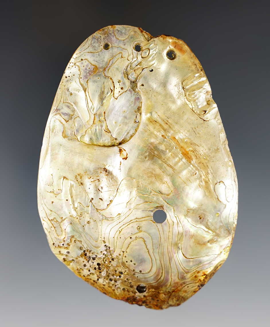 Fantastic 3 13/16" 5-hole Abalone Shell Pendant found in Colusa Co., California.