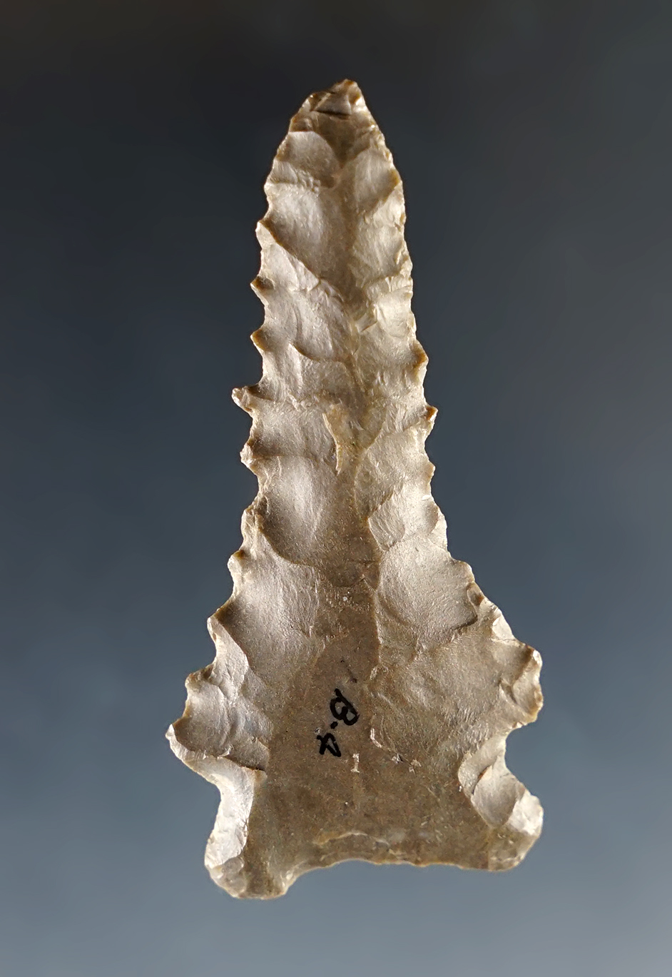 Well serrated 2" Kentucky Pinetree point in good condition.