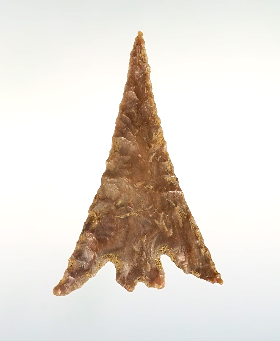 Incredibly well flaked 1 5/16" Columbia Plateau made from Silicified Wood. Stermer COA.