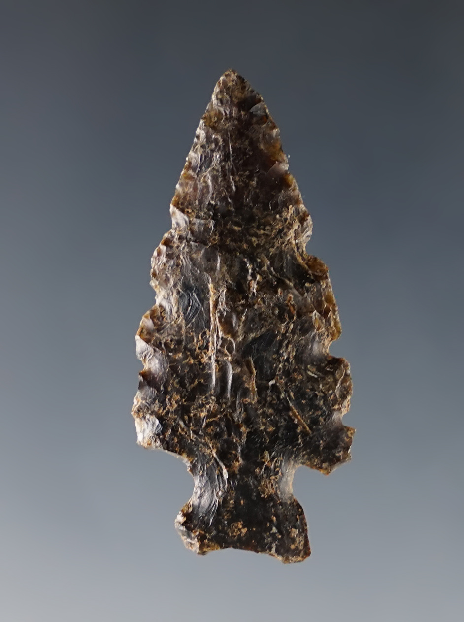 Nice 1 5/8" Saw Blade found in Colorado.