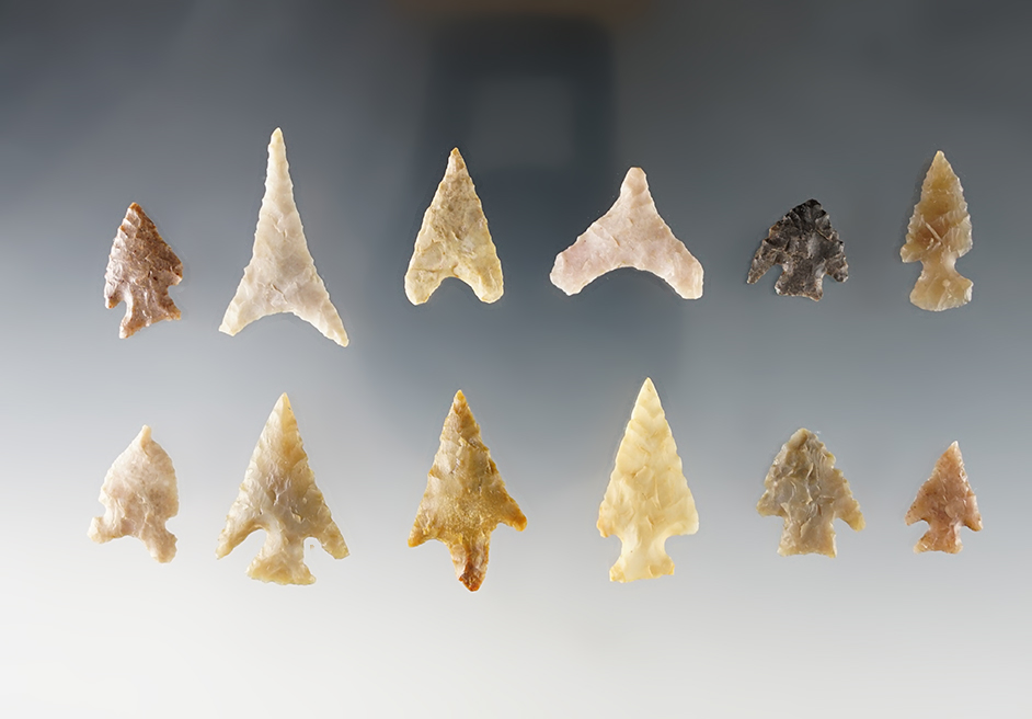 Set of 12 Texas Birdpoints in good condition. The largest is 1 5/16".