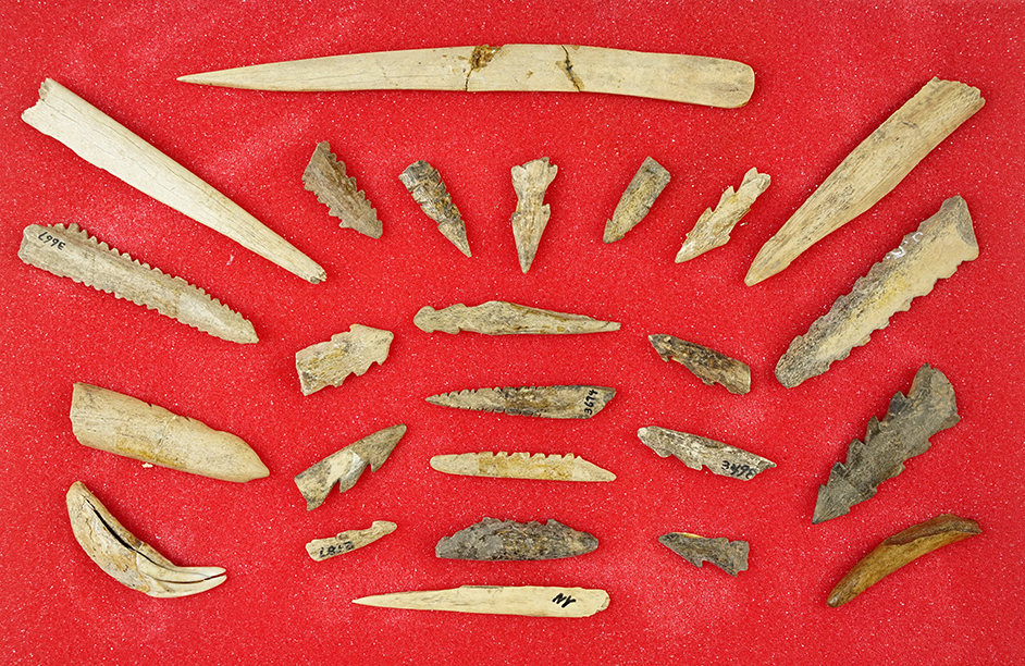 Set of 25 Bone Tools found close to the Finger Lakes Region in New York. 1 is broken and glued. 