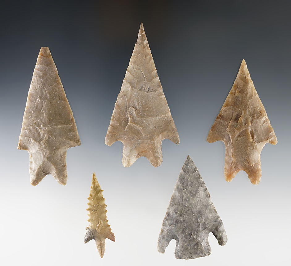 Set of 5 restored Texas points that display well. The largest is 5 3/8".