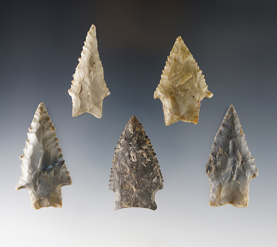 Set of 5 well serrated Kirk points found by Joseph Dillion in Calloway Co., Kentucky.