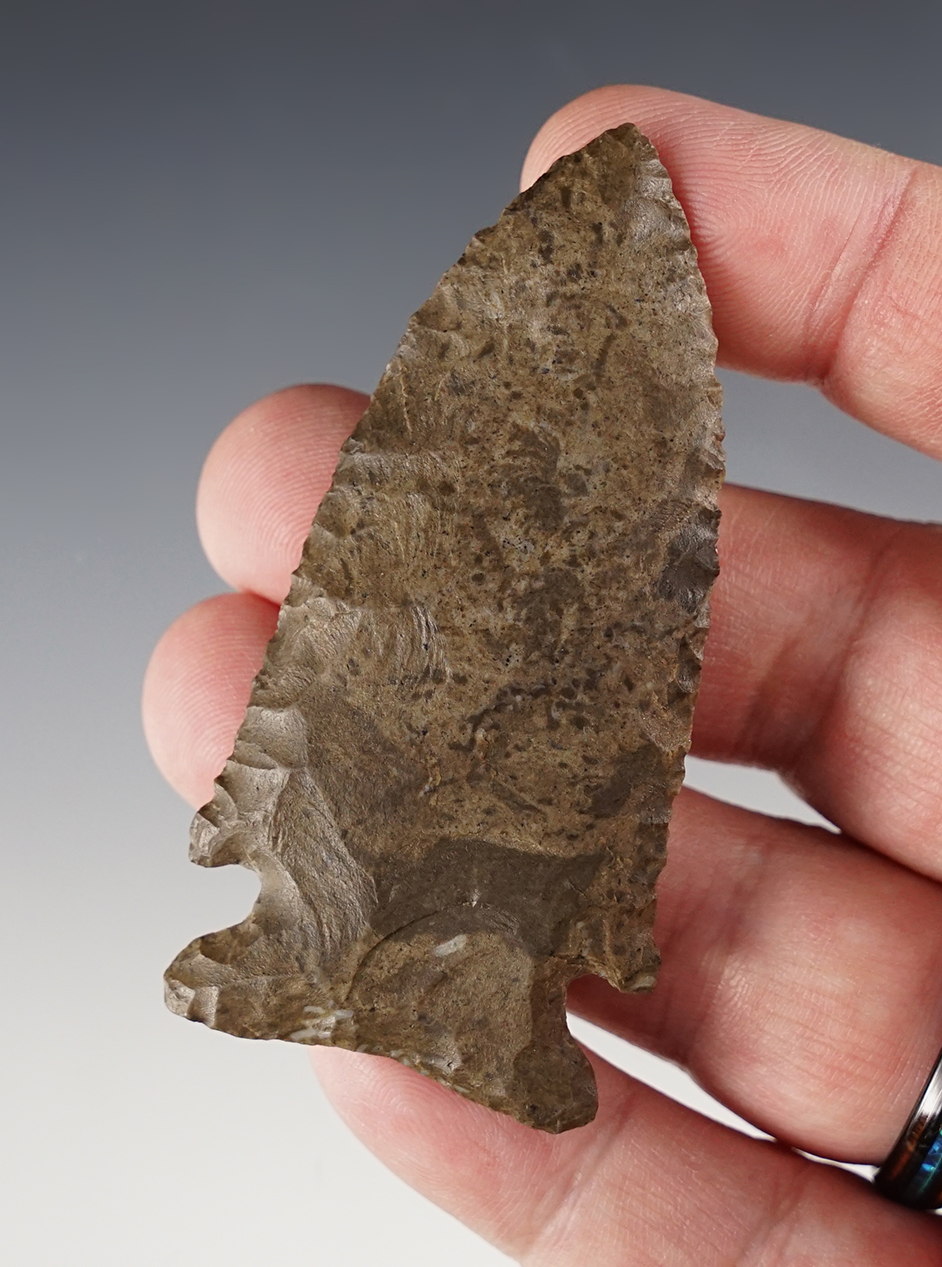 2 7/8" Archaic Kirk or Stilwell type point made from Dover Chert. Found in Tennessee.