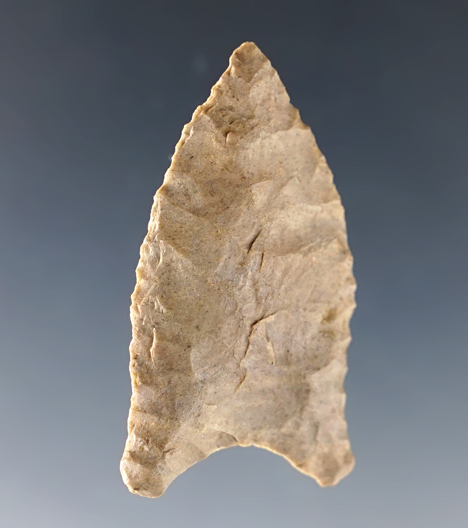 1 9/16" well made Quad found in Tennessee. Nice ancient grinding to the basal lobes.