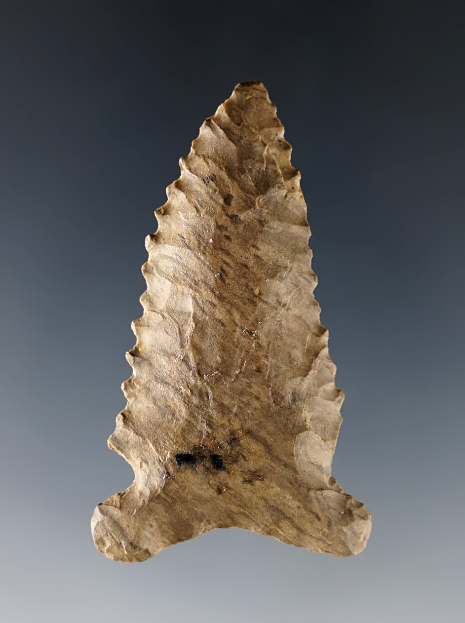 Well serrated 2 3/16" Greenbrier found in Linden Co., Tennessee.