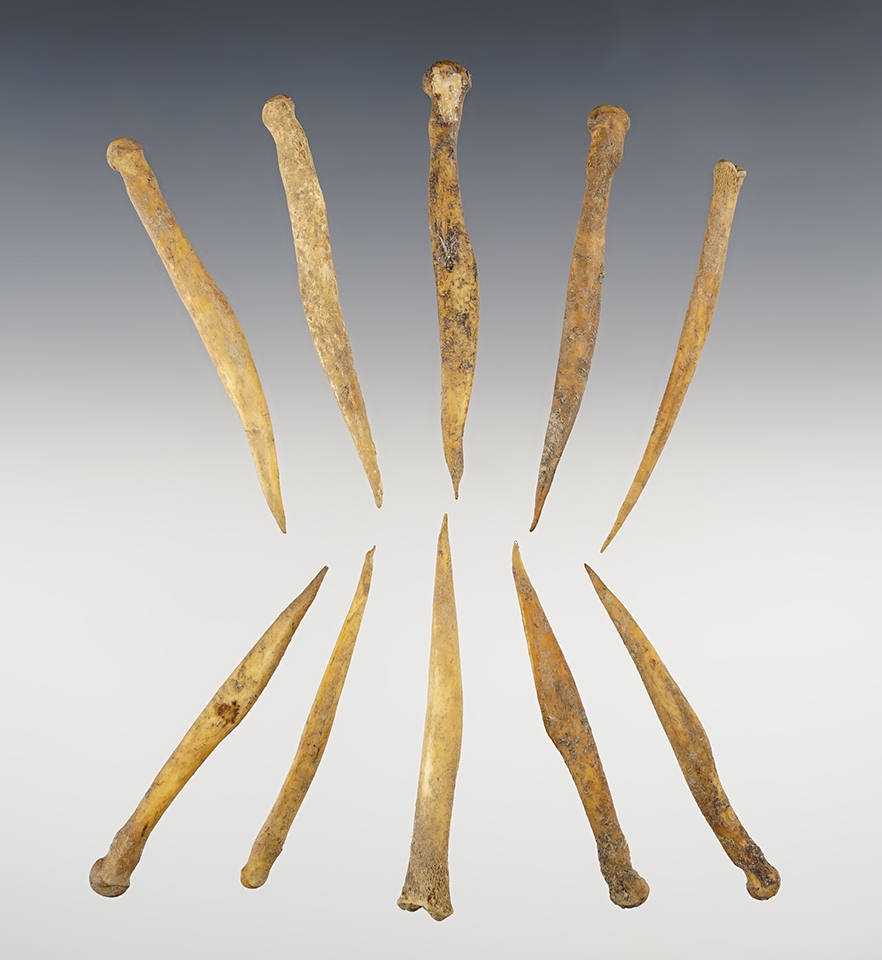 Set of 14 Bone Awls found in Ohio. The largest is 2 15/16".