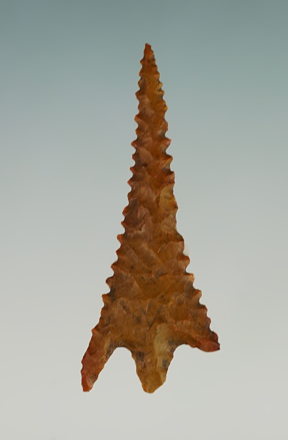 Incredible serrations on this 1 3/8" Gunther found near the Rogue River drainage, Oregon. COA. 