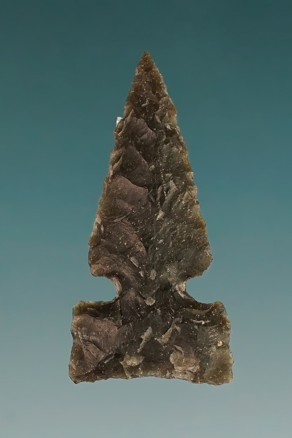 1 1/4" Plains Side-Notched made from dark gray-black Chert. Comes with a Stermer COA. 