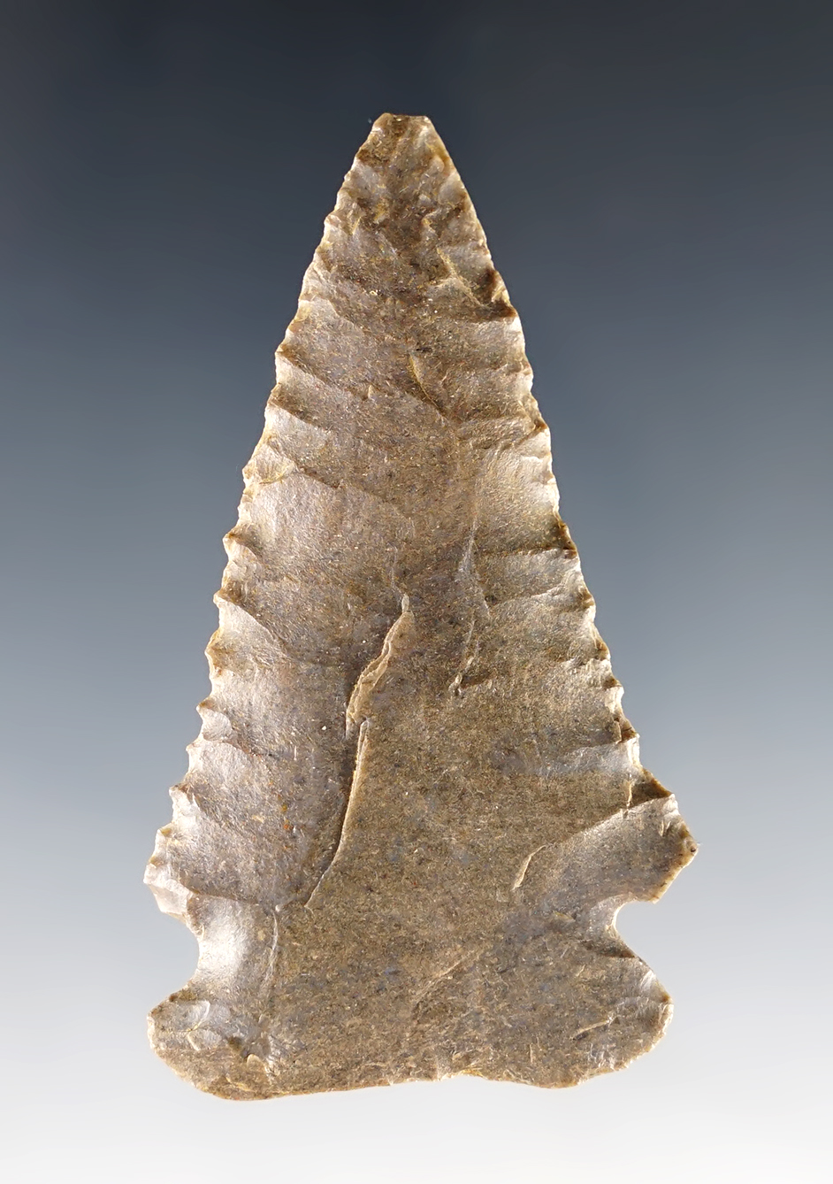 2 5/8" Archaic Knife found in Kentucky with nice edge serrations that is well patinated.