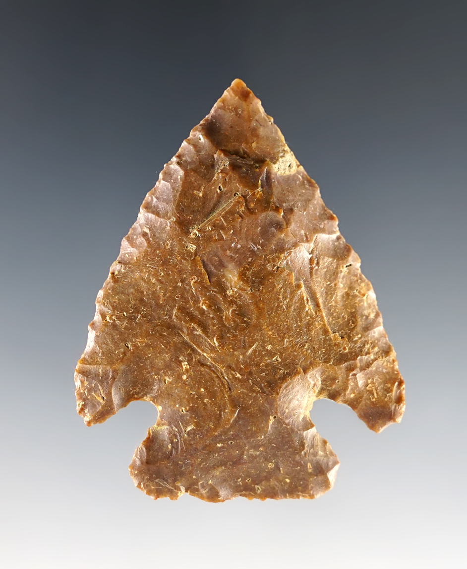 2 3/8" Cornernotch knife recovered in Georgia.