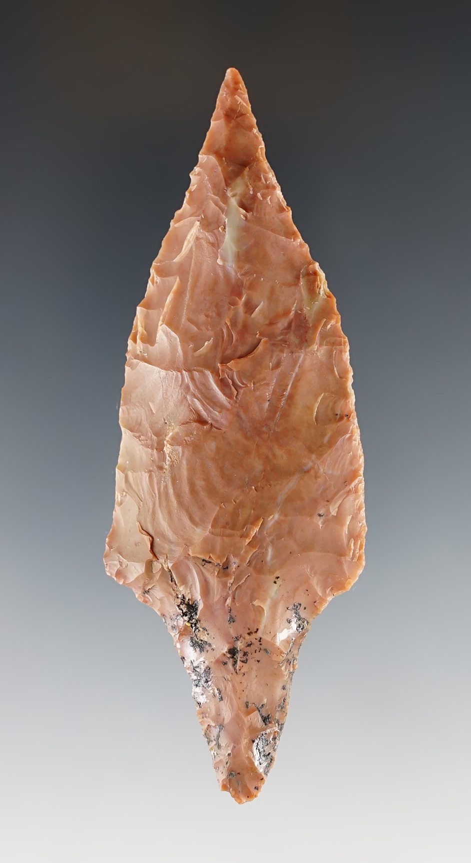 3 9/16" Vandenberg Contracting-Stem made from Franciscan Chert.  California.  Stermer COA. 