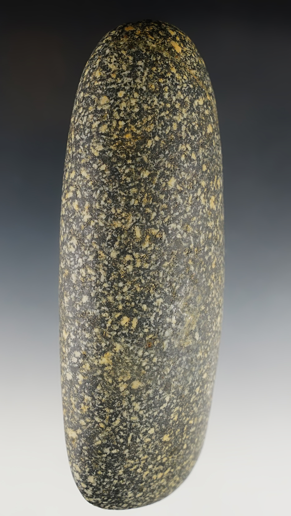 6 1/8" Hardstone Celt made from speckled Granite. Found in Branch Co., Michigan.