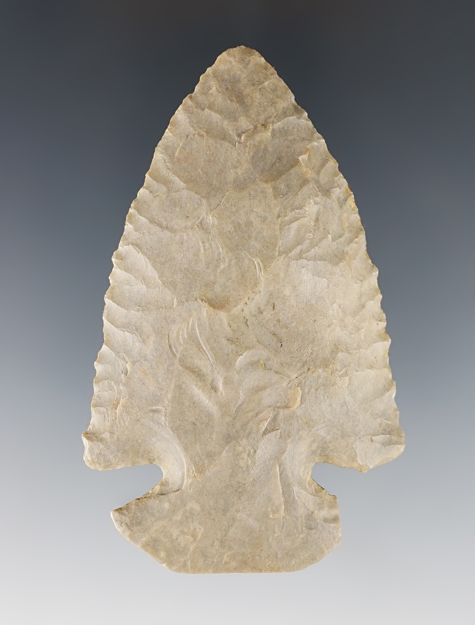 Fine 3" clipped-wing Dovetail - Hart Co., Kentucky. Heavy ancient grinding to the base,