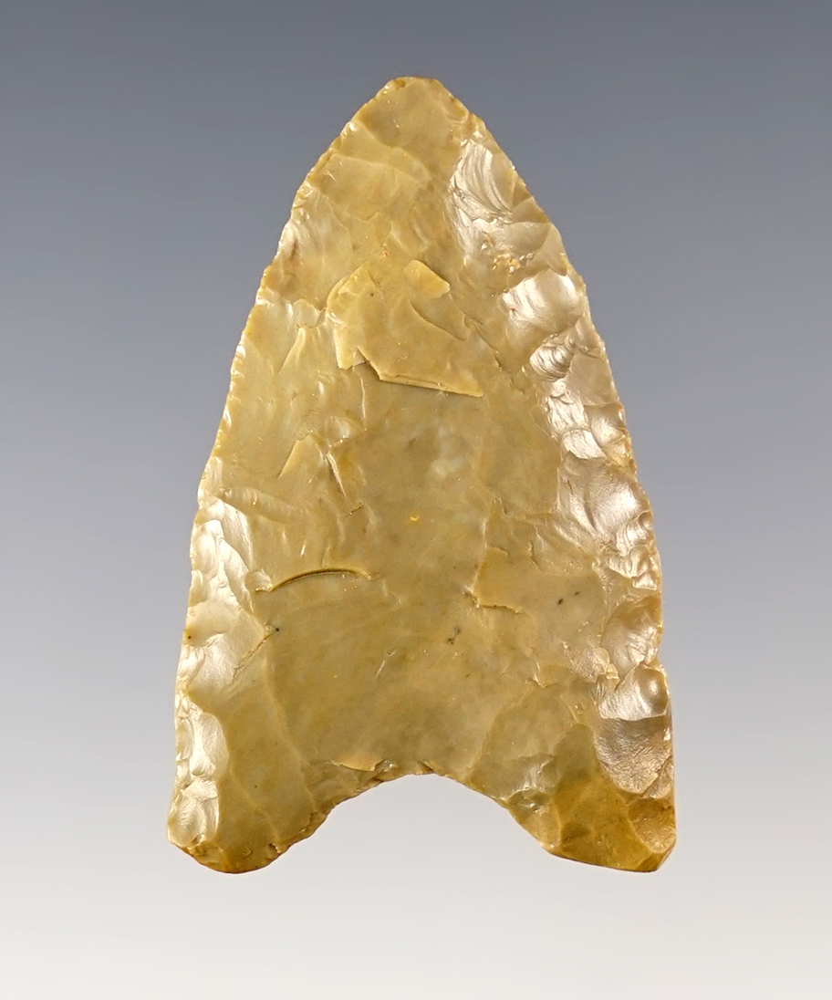 1 3/4" Dalton point likely from the Northeast Arkansas/Missouri/Southern Illinois region. 2 COA's.