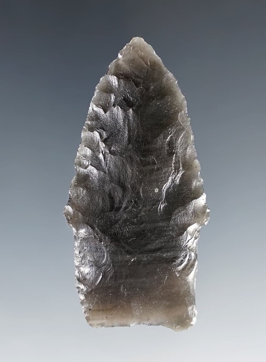 Exceptional! 2" Paleo Alberta made from Obisidian found in Nevada. Very nice conidtion. 
