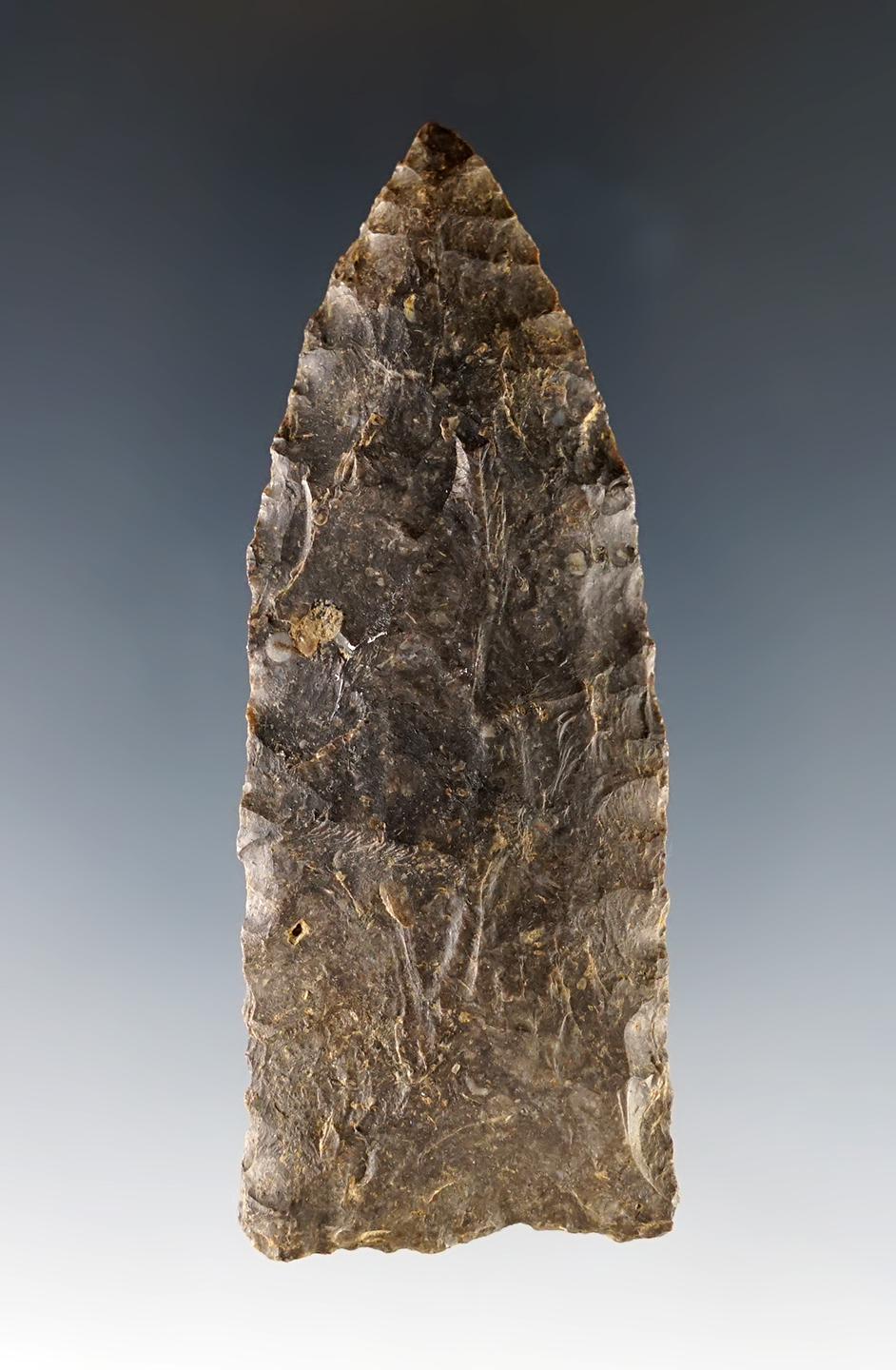 3" Tennessee Copena that shows excellent age on surface.