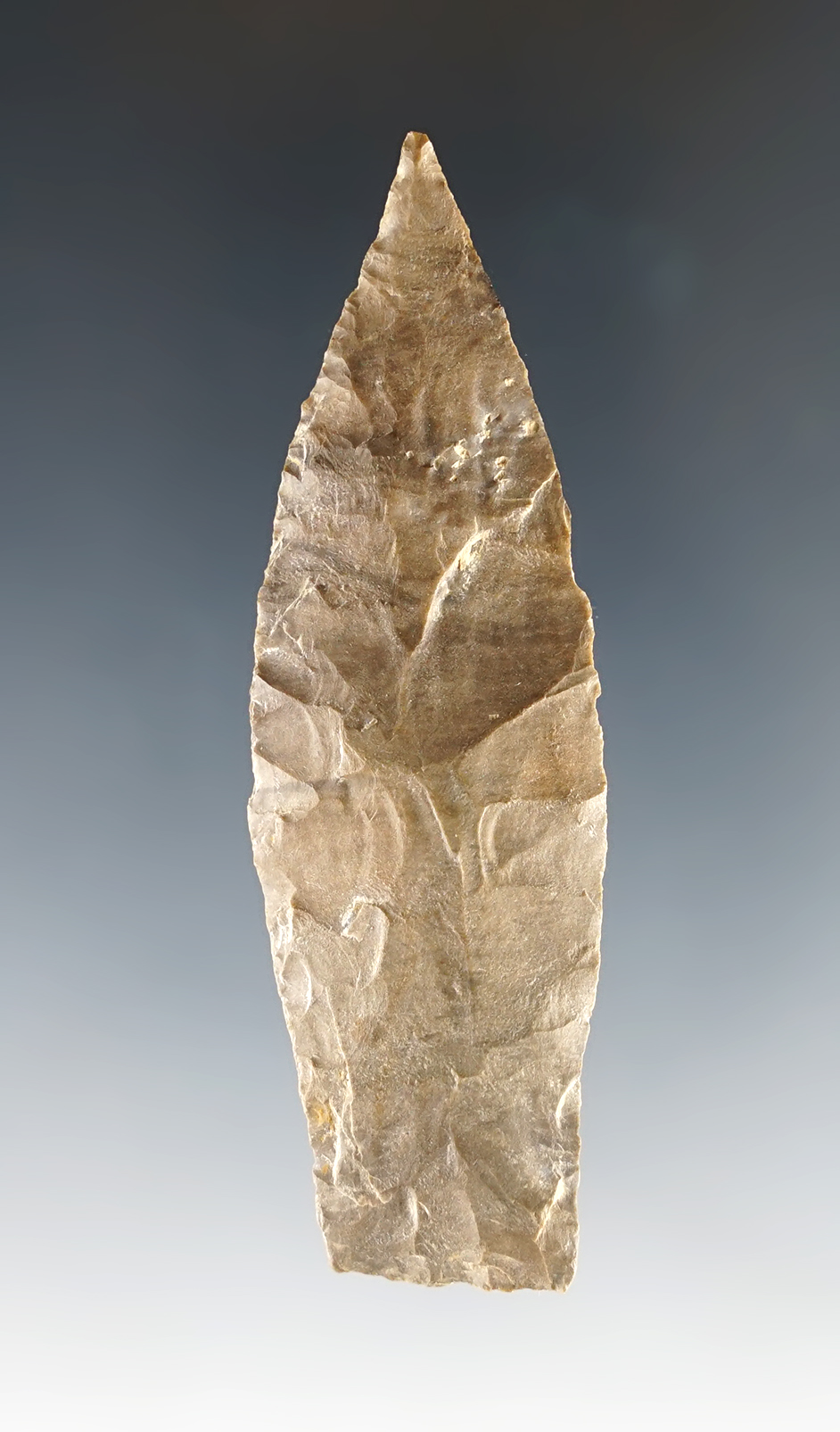 2 15/16" Tennessee Copena with a needle tip and good form.