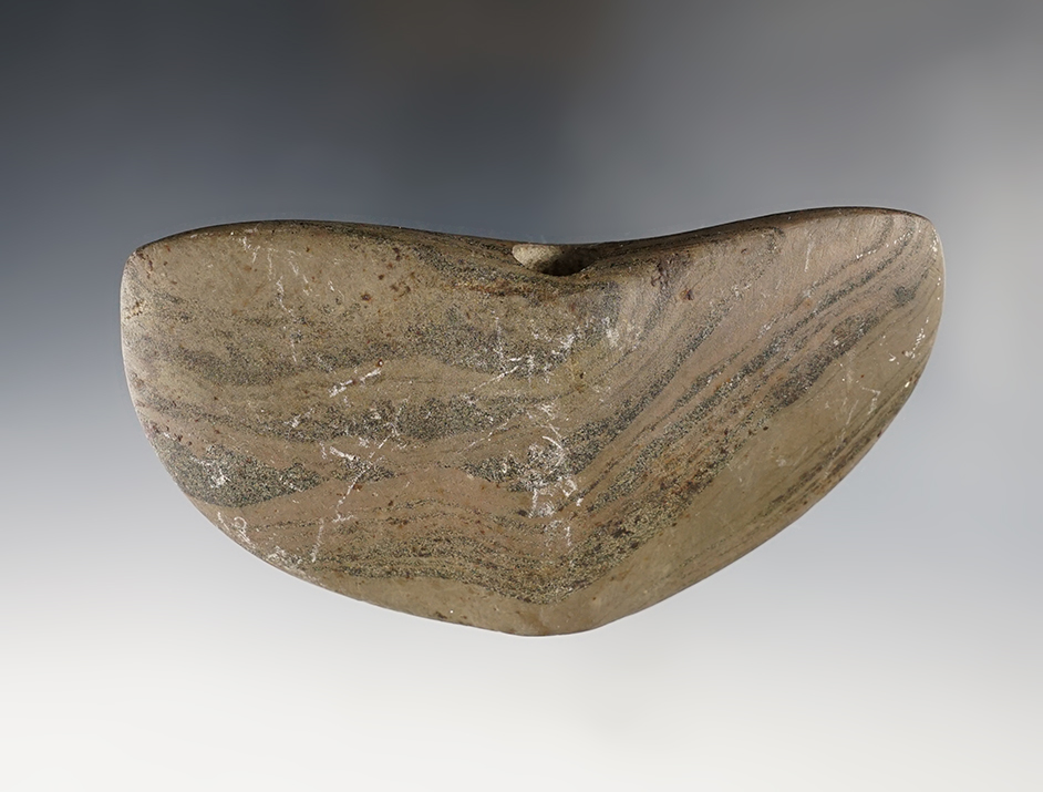 Exceptional 4 1/2" wide Wing Bannerstone made from nicely colored Banded Slate. Eaton Co., MI.