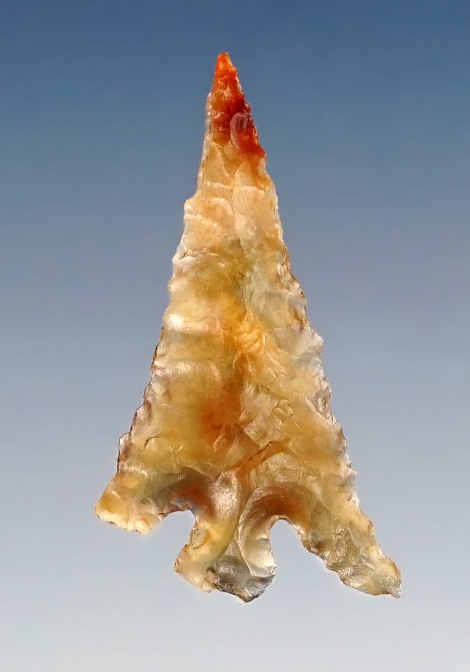 1 3/16" Columbia Plateau - incredible translucent material. Found in the 1950's by Norma Berg.