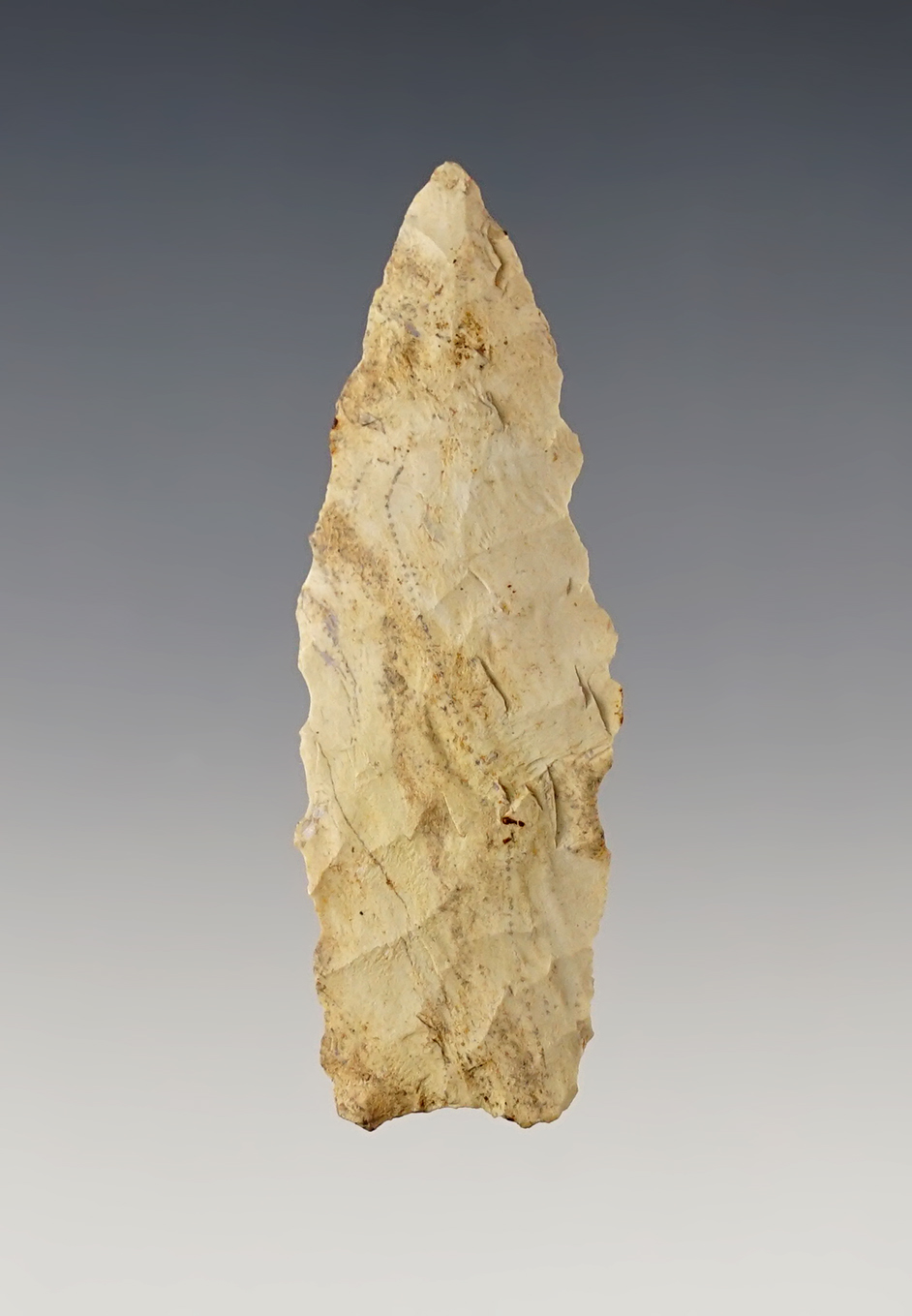 Serrated 2 5/16" thin Lanceolate found in Northeast Indiana. 