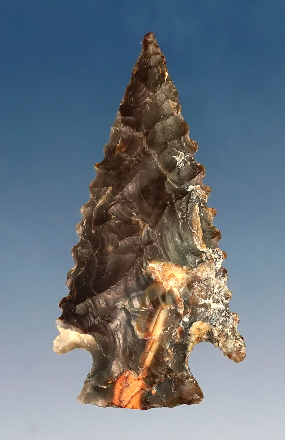 Excellent serrations on this 1 1/2" Snake River Cornernotch in perfect condition.  Columbia River.