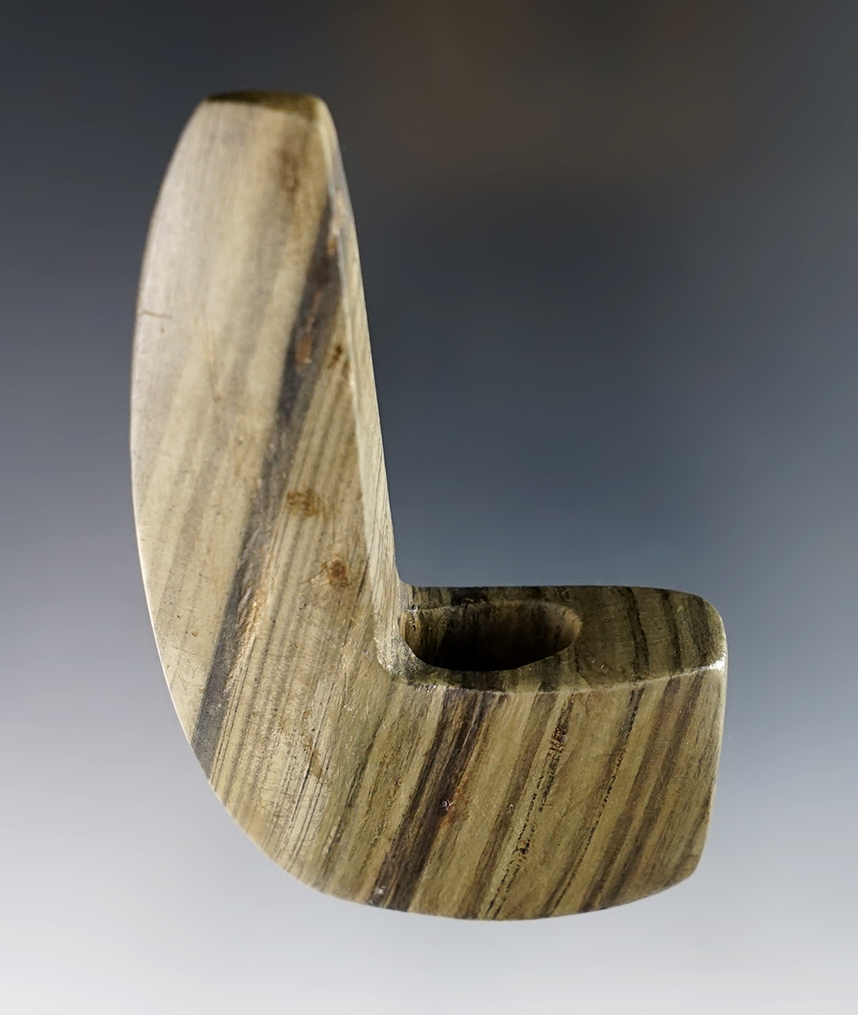 3 1/4" Geniculate - most of the drilled area has been professionally restored - displays great. 