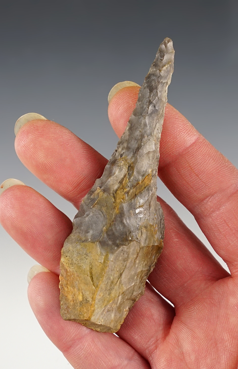Well patinated 3 1/2" Paleo Drill found by John Durig in Coshocton Co., Ohio. 
