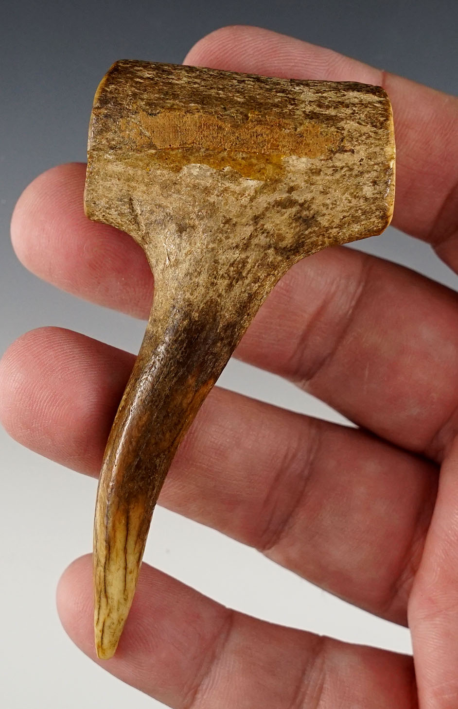 Very unique 3 1/4" Awl made from a section of antler. Heavy use polish to tine area. Ohio. 