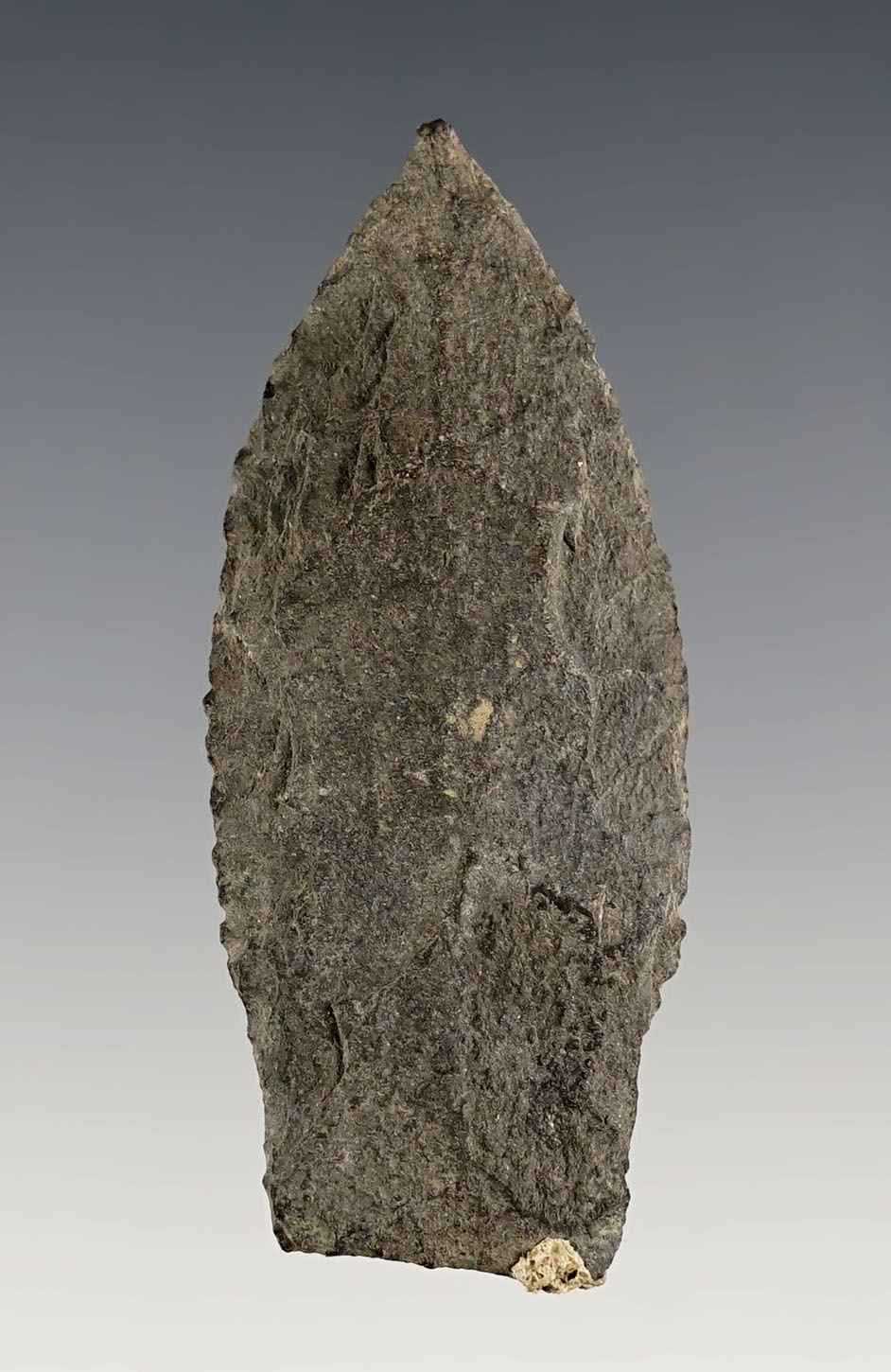 2 3/8" Paleo Stemmed Lanceolate made from Basalt. Found in the 1950's by Norma Berg 