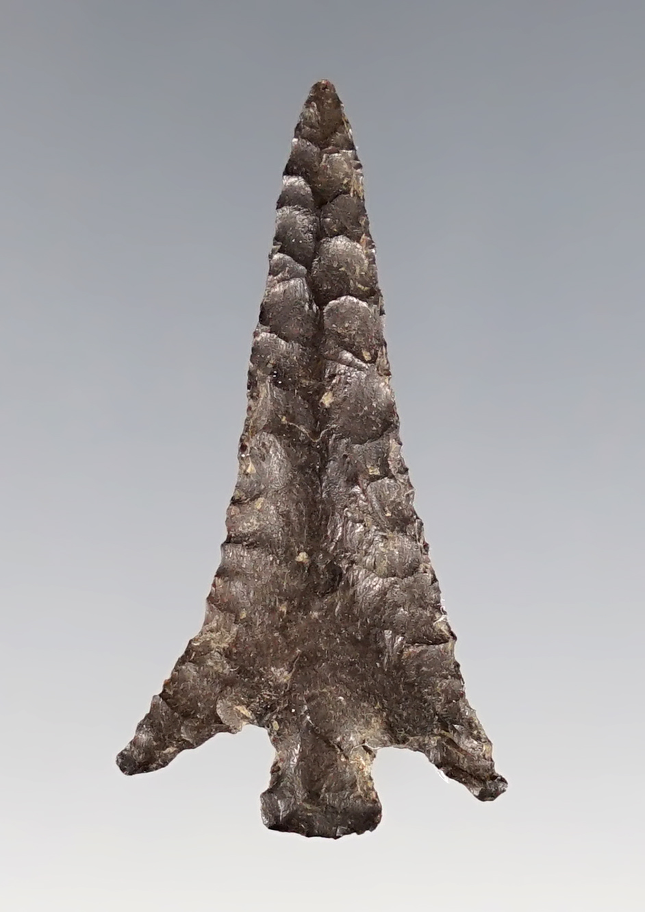 1 3/8" Columbia Plateau that is nicely styled from brown Jasper. Columbia River. 