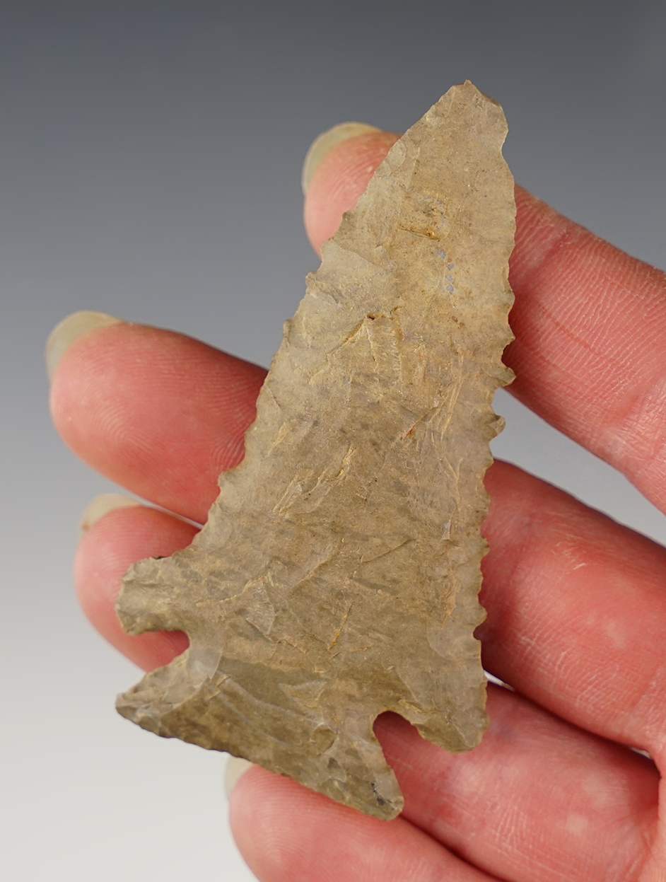 2 7/8" Pinetree made from mottled gray flint. Found in the Indiana area. 