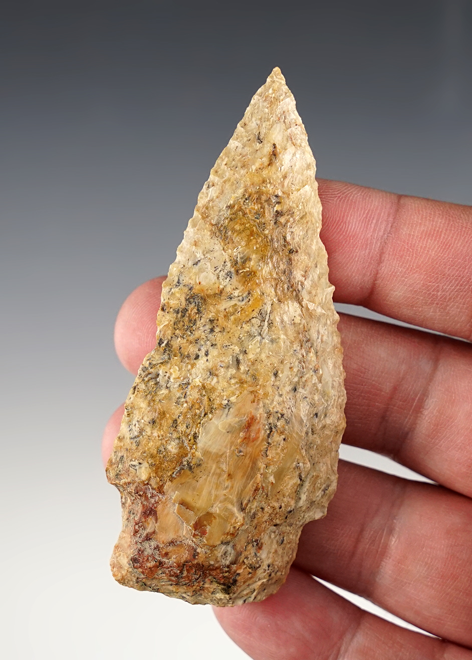 Large 3 5/16" Stemmed Knifefound in the 1950's by Norma Berg near the Columbia River. 