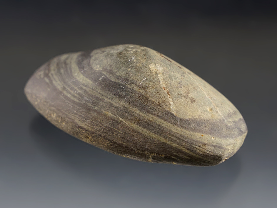 3 3/16" Humped or Spineback Gorget that is spotted for drilling found in Ohio.