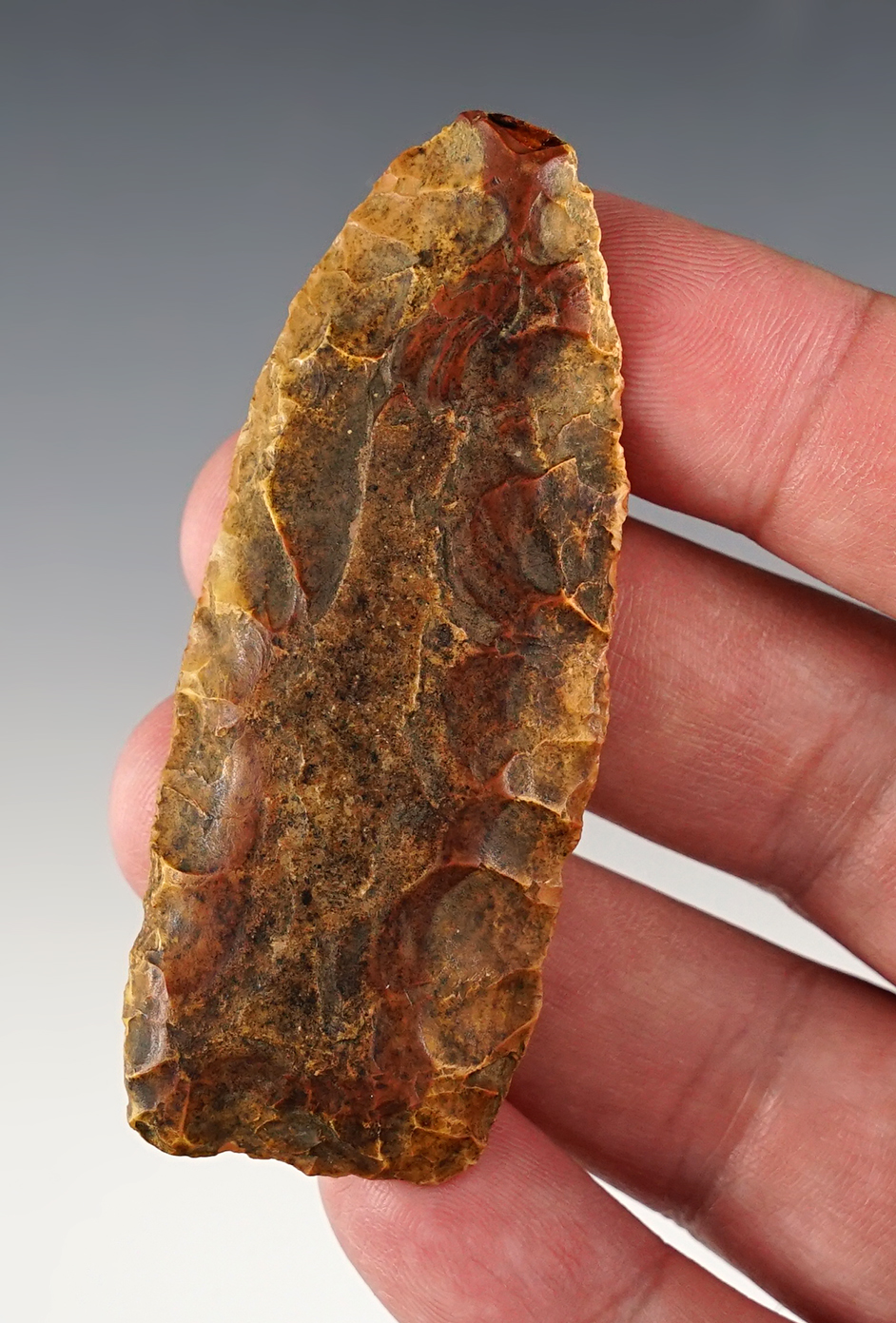 2 7/8" Milnesand made from dark brown and tan chert. McLean Co., ND. Rogers COA. 