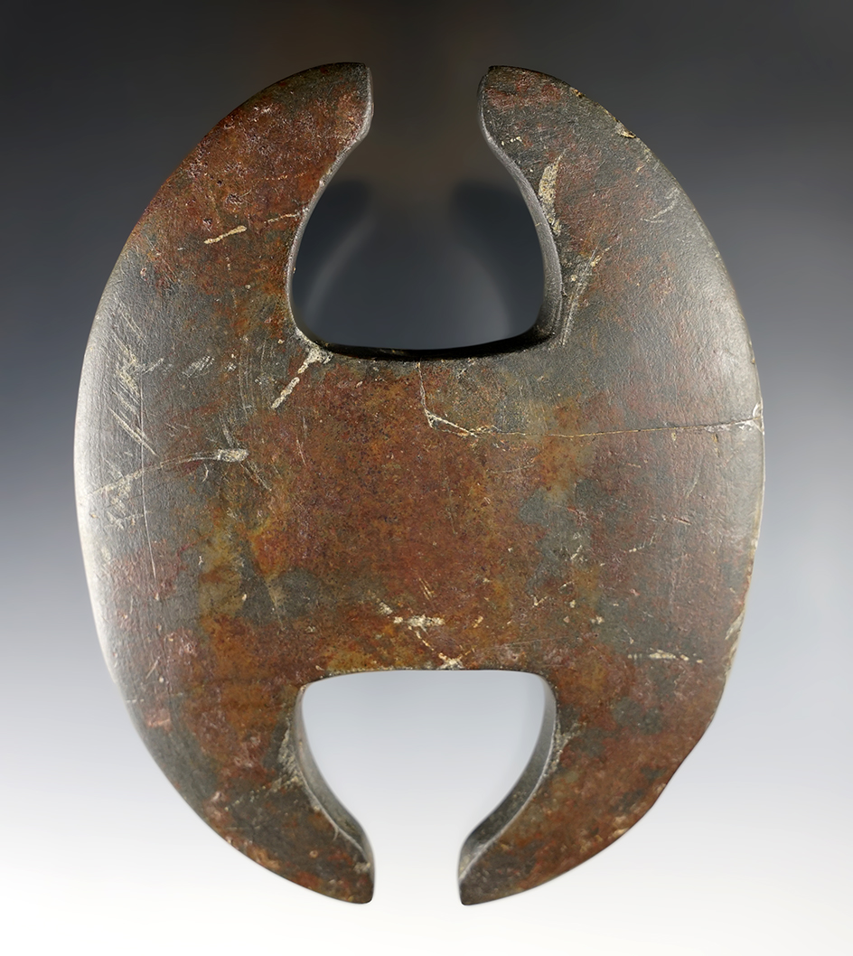 5 1/8" Archaic Notched Ovate that is broken and glued in the area of one prong. Seneca Co., Ohio.