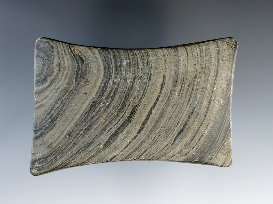 3 3/16" Undrilled Adena Quadriconcave Gorget found in Summit Co., Ohio. Pictured! Davis COA. 