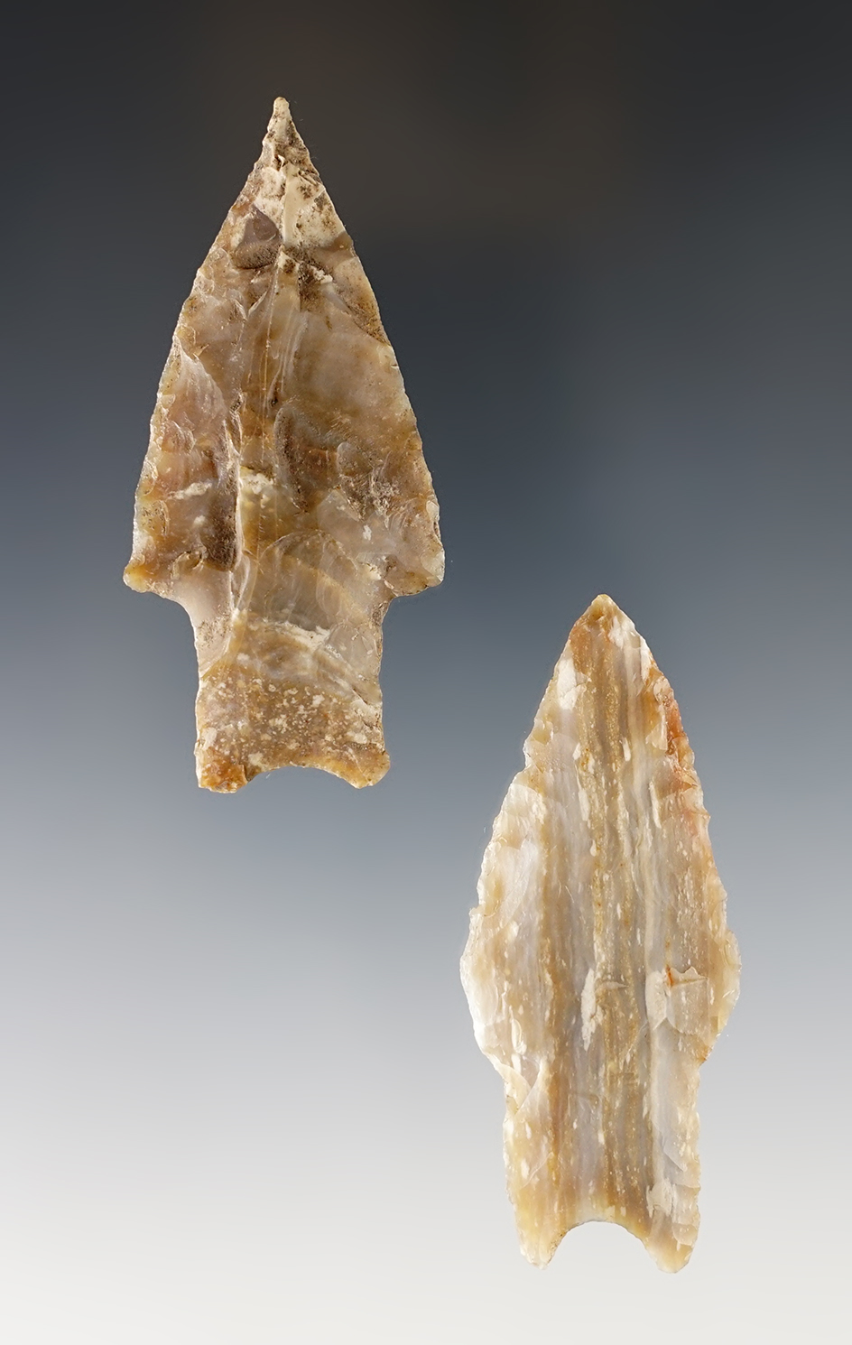 Pair of fine Pedernales found in Texas. The largest is 2 3/4".