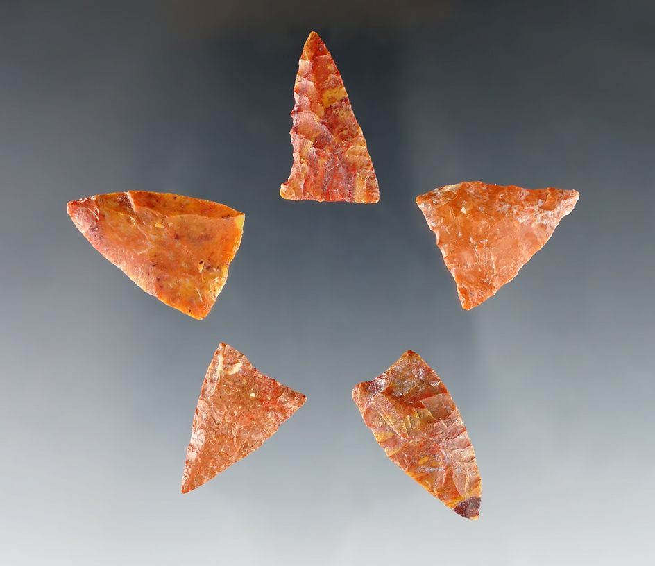 Group of five Triangular Arrowheads recovered in Lincoln Co., Colorado. Largest is 1".