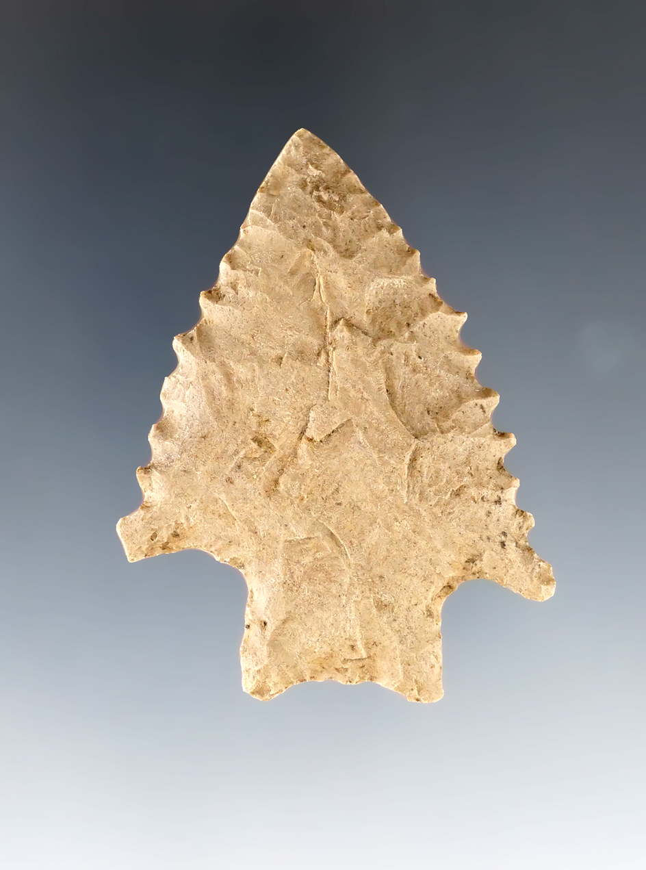 2 1/16" highly serrated Kirk Stemmed found near Dexter, Callaway Co., Kentucky. Bennett COA.