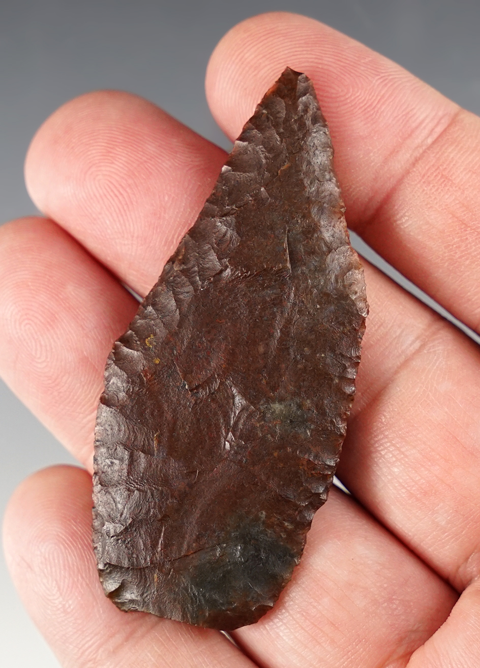 2 1/2" Blade that is thin with great flaking. Found in Grand Junction, Colorado by Bob Knowlton.