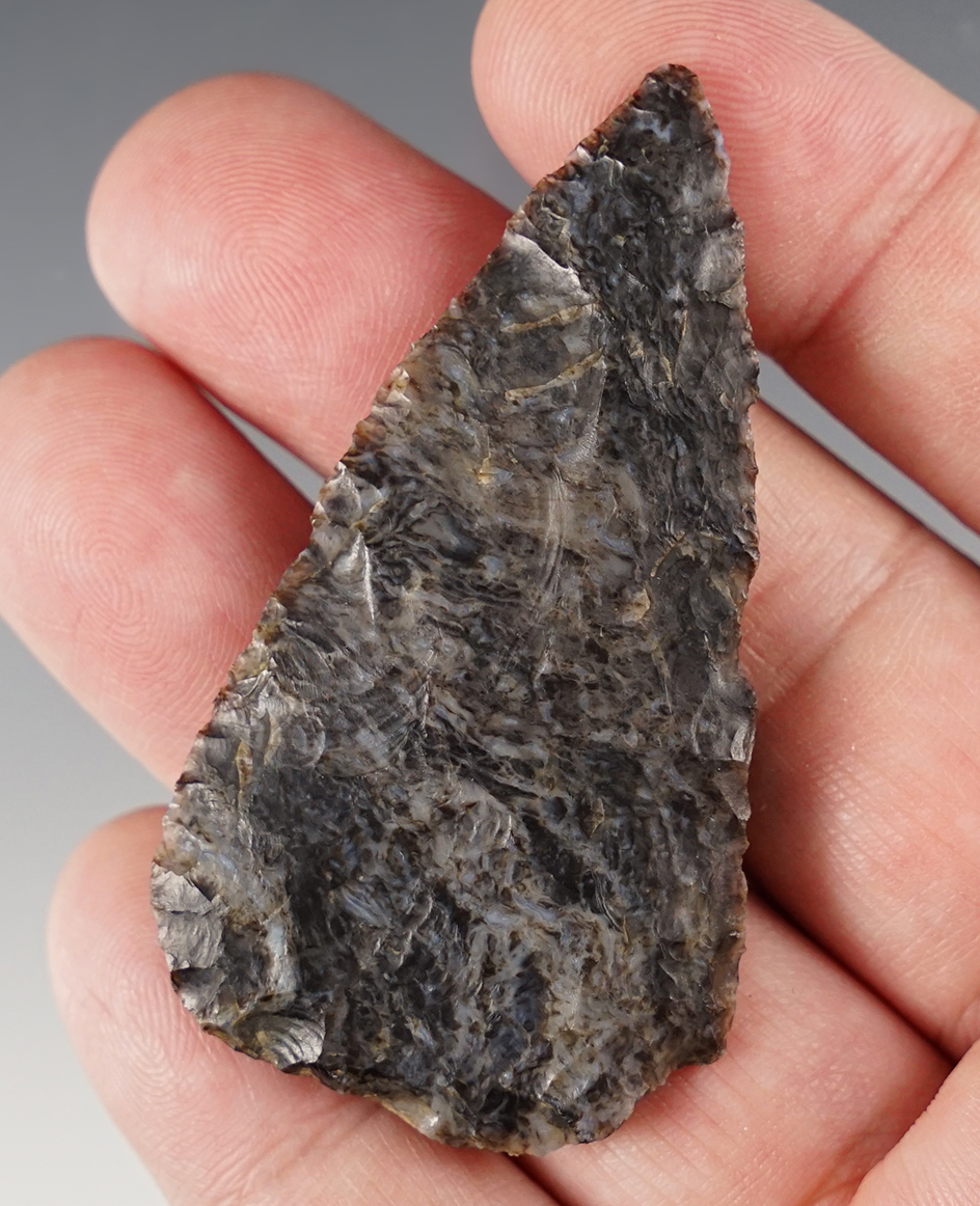 Thin and well flaked 2 7/16" Colorado Blade made from nice material.