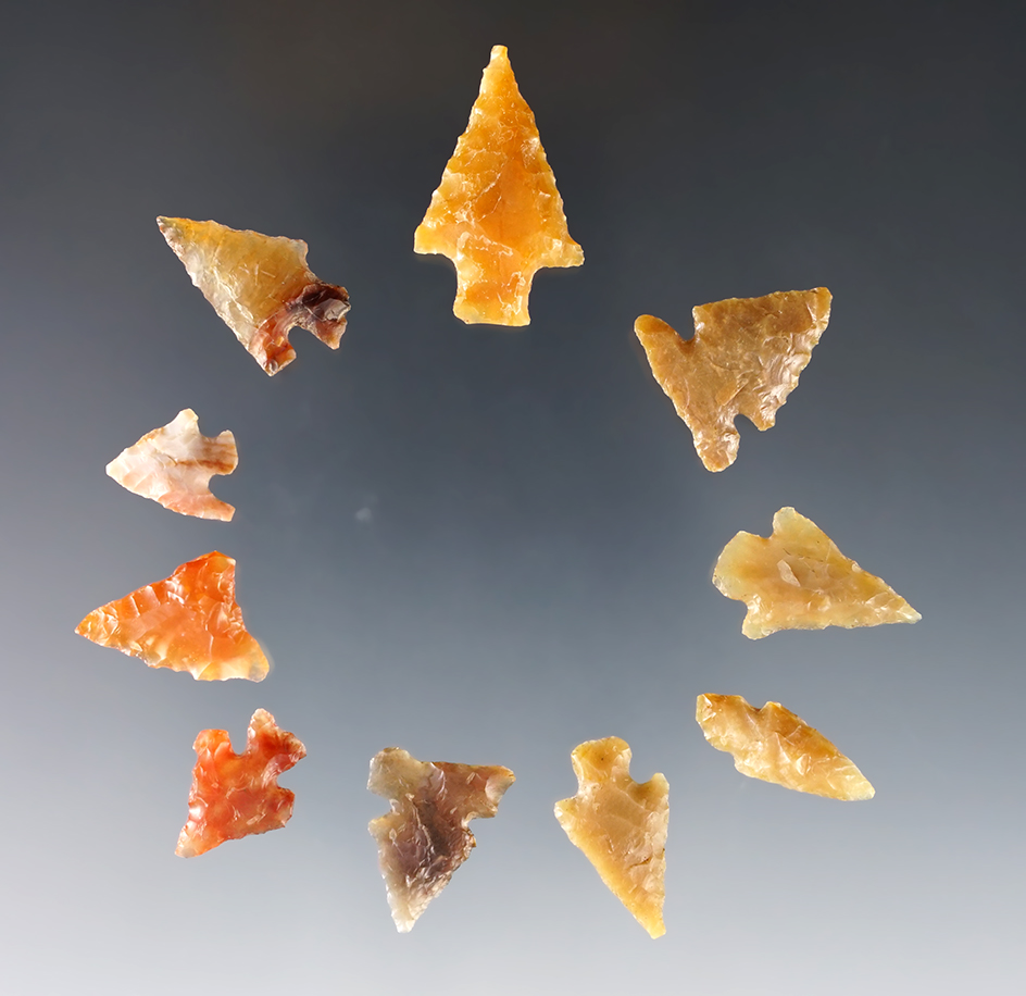 Set of 10 nice Points found close to the Columbia River. Ex. Wilke Museum. The largest is 1 1/16".