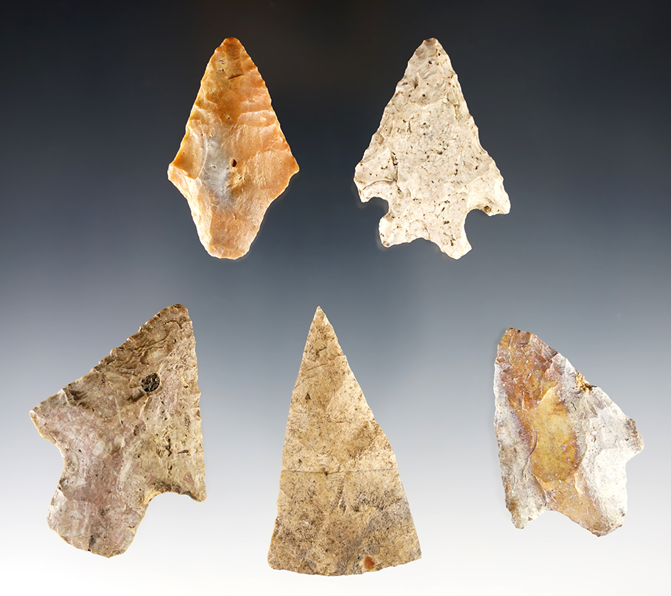Set of 5 nicely made points found in Alachua Co., Florida.