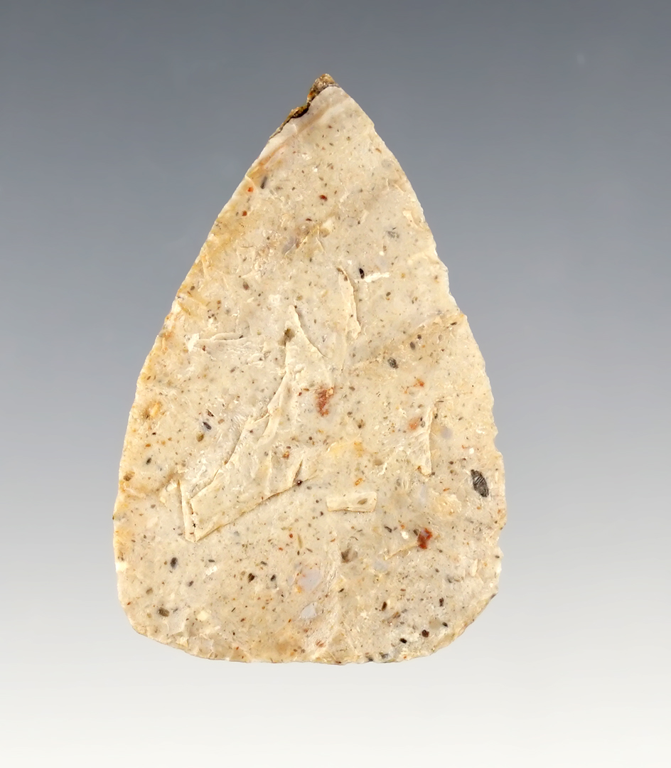 Very thin 1 13/16" Colorado Blade in excellent condition.