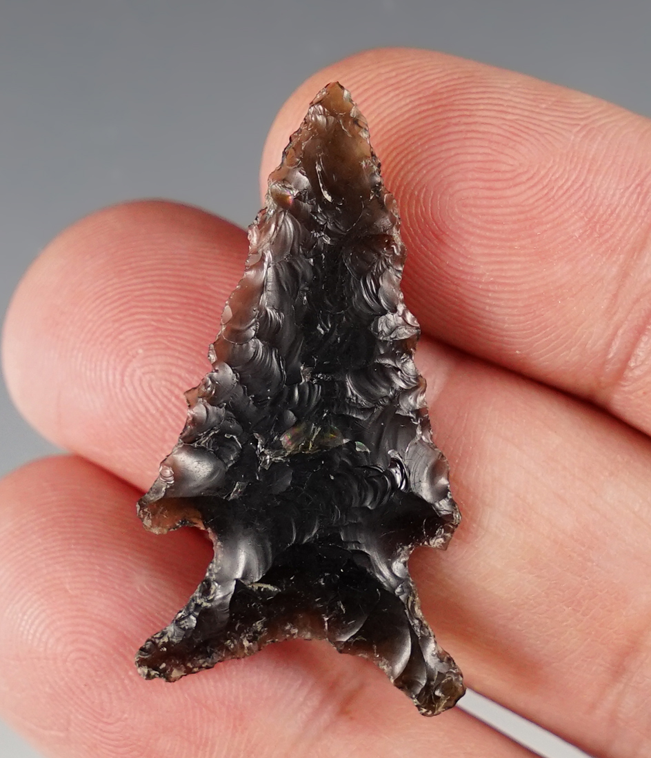 Nicely made 1 1/2" Elko found by Hank Casiday in Lake Co., Oregon.