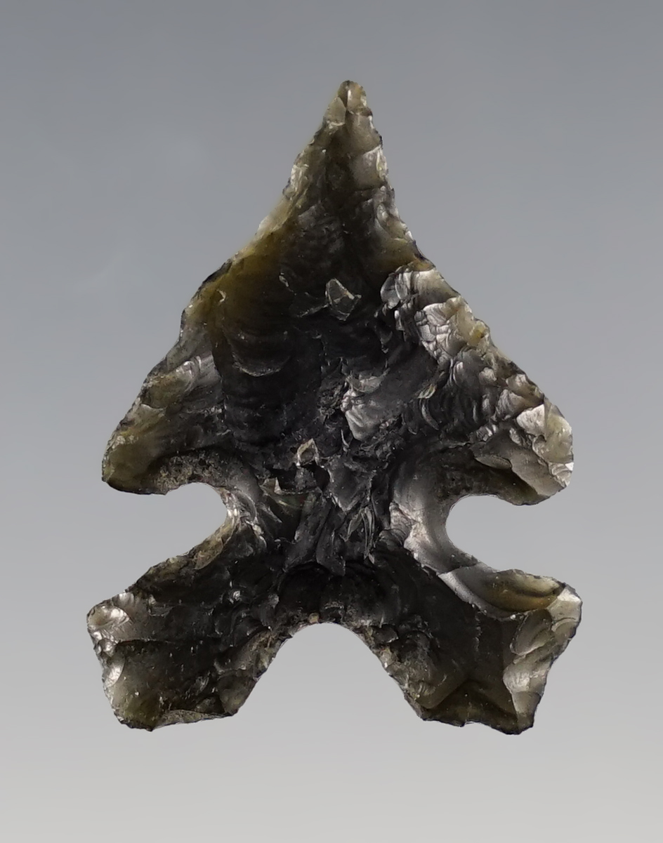 1 7/16" Northern Sidenotch found by Hank Casiday in Lake Co., Oregon.