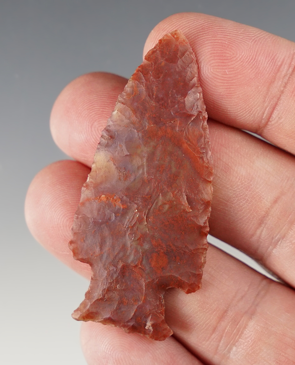 Great color on this 2 1/4" Cornernotch found in Colorado.